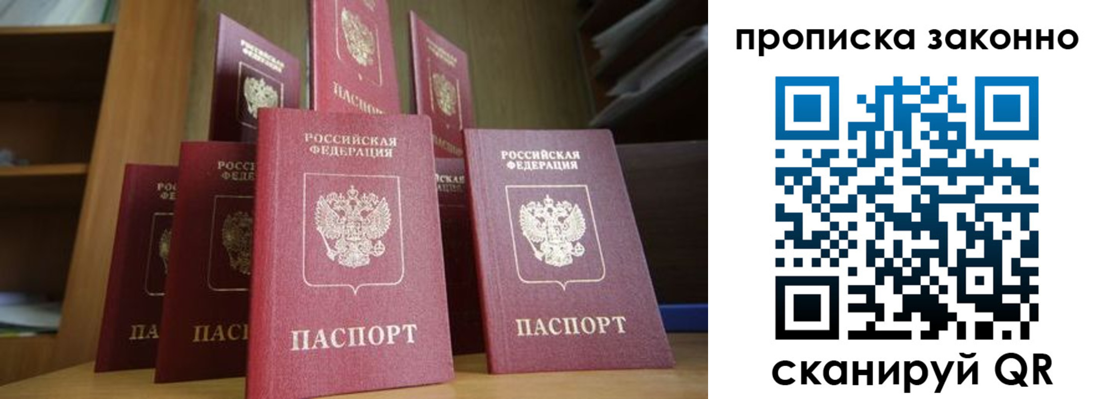 прописка в квартире в Кольчугино